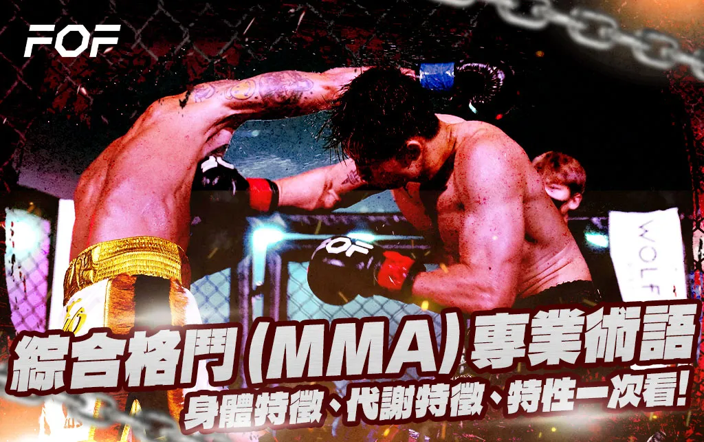 綜合格鬥(MMA) 專業術語及身體特徵研究