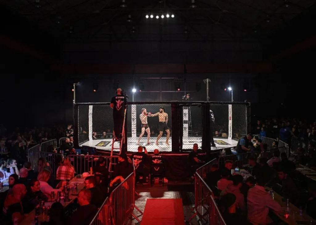 綜合格鬥MMA